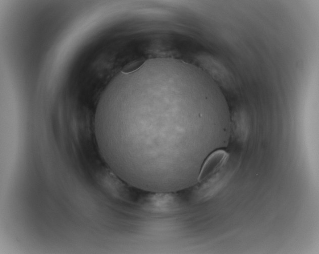 X0000114560762200910191431
