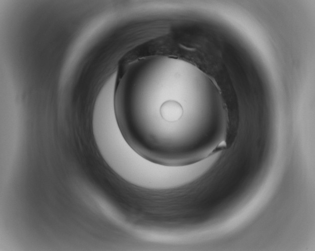 X0000114560766200910191431