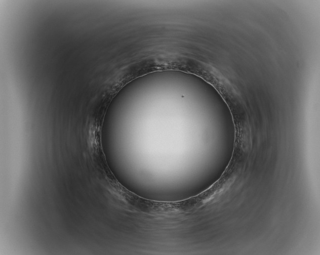 X0000114560770200910191431