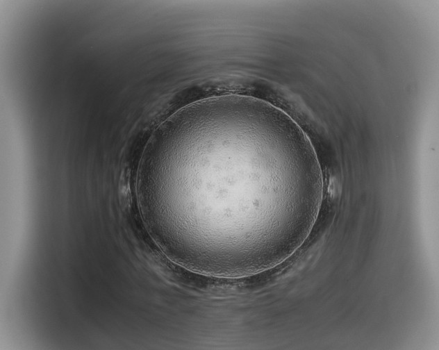 X0000114560771200910191431