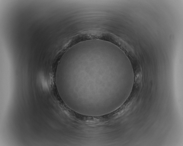 X0000114560772200910191431