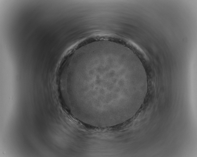 X0000114560775200910191431