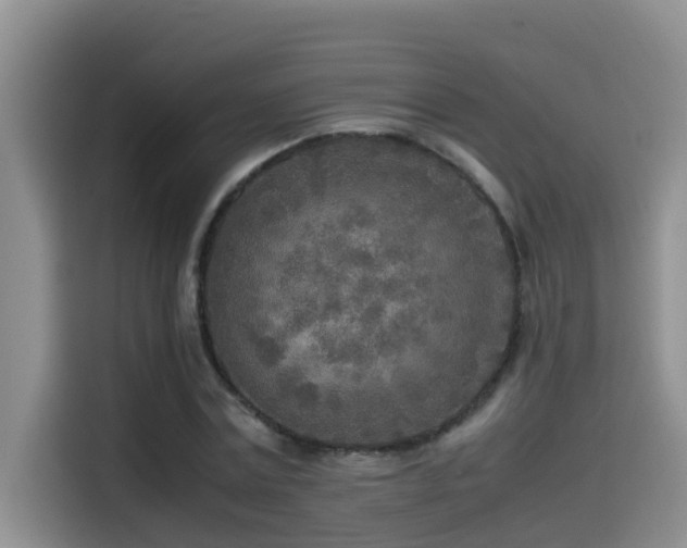 X0000114560779200910191430