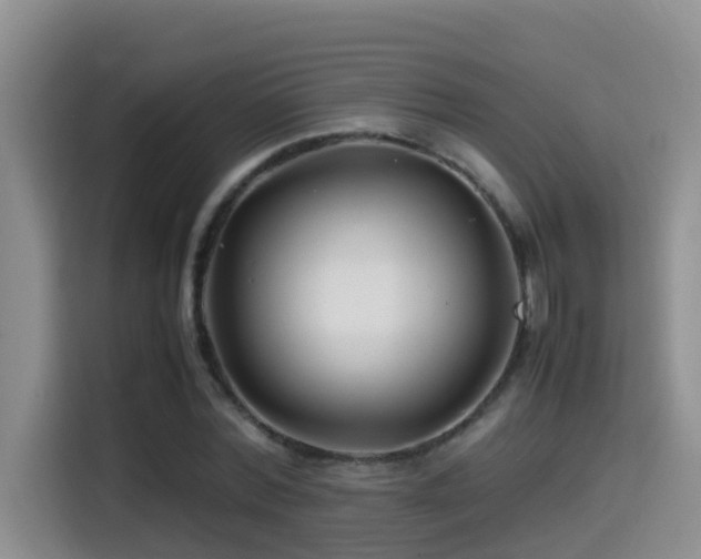 X0000114560780200910191430