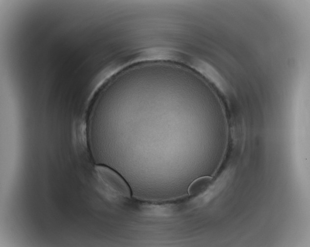 X0000114560781200910191430