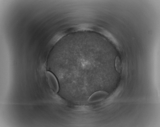 X0000114560785200910191430