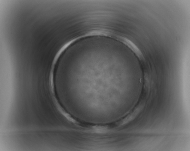 X0000114560788200910191430