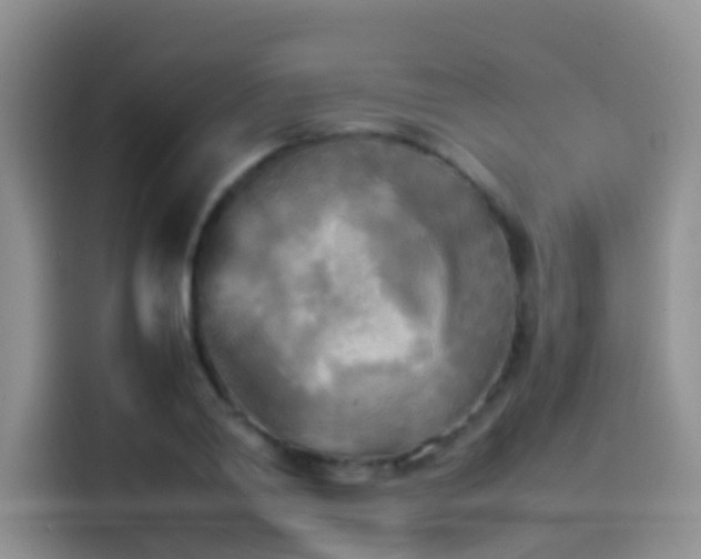 X0000114560790200910191430