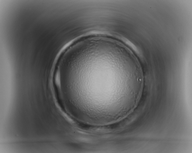 X0000114560791200910191430