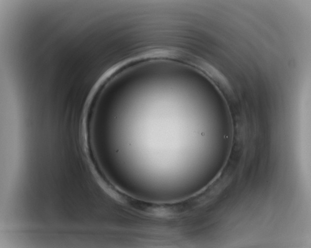 X0000114560792200910191430
