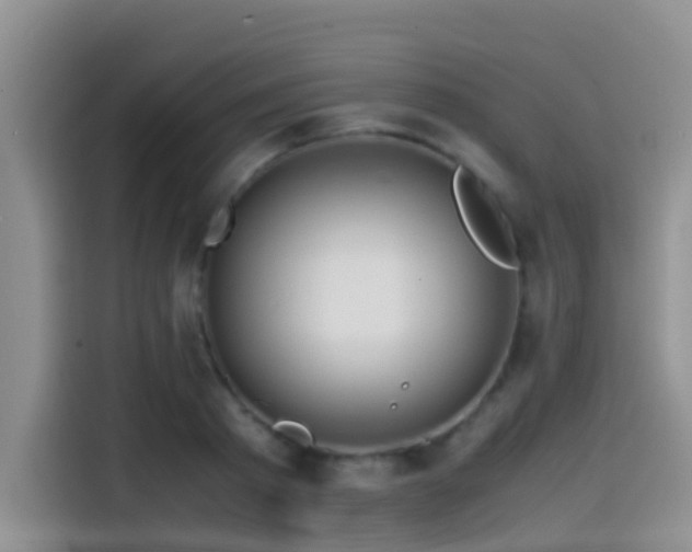 X0000114560793200910191430