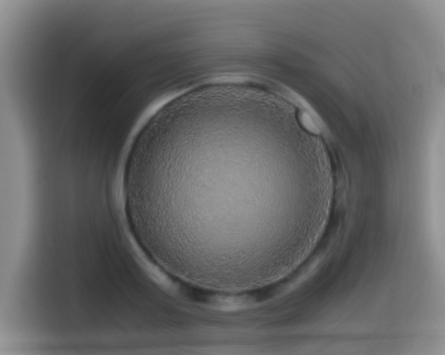 X0000114560795200910191430