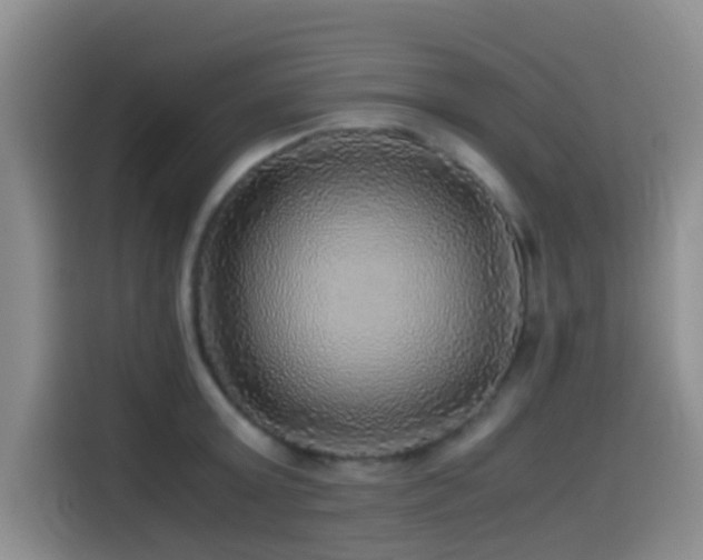 X0000114560803200910191430