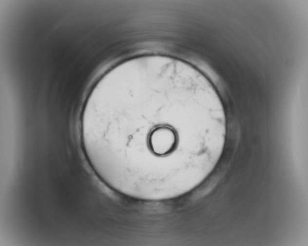X0000114560807200910191430