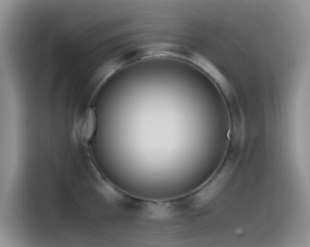 X0000114560809200910191430