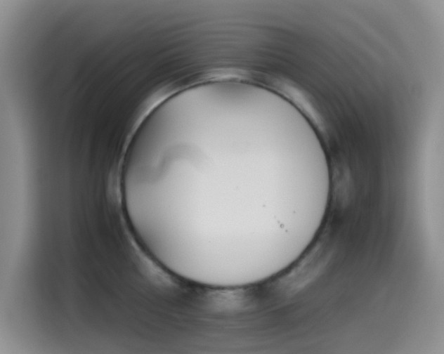 X0000114560810200910191430