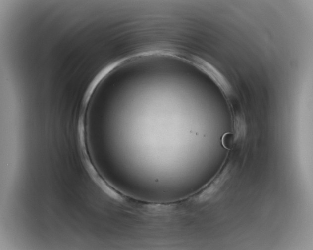 X0000114560812200910191430