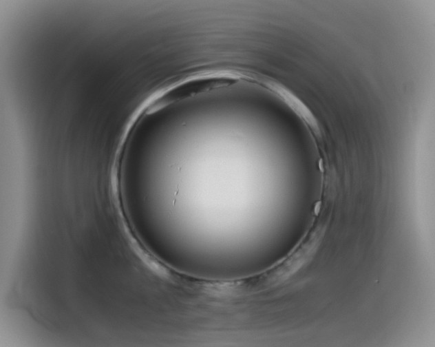 X0000114560813200910191430