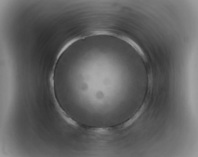 X0000114560814200910191430