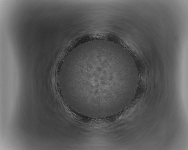 X0000114560817200910191429