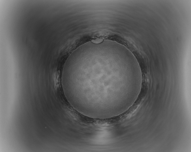 X0000114560818200910191429