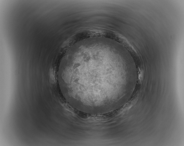 X0000114560819200910191429