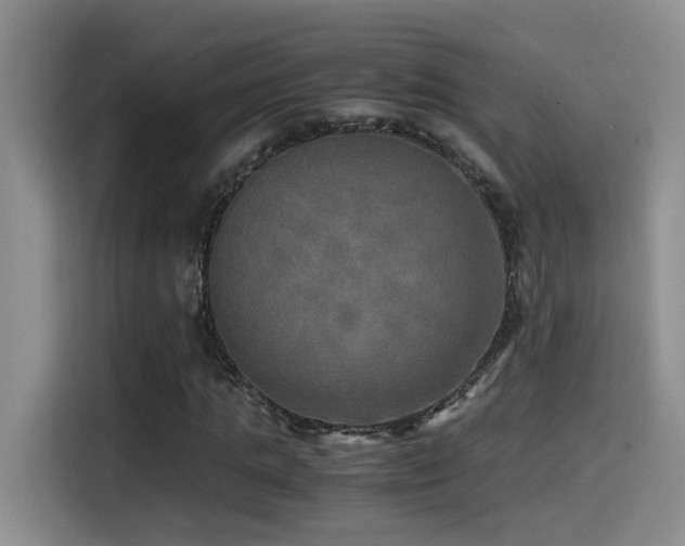 X0000114560821200910191429