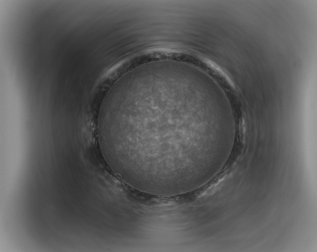 X0000114560822200910191429