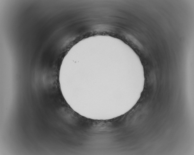 X0000114560824200910191429