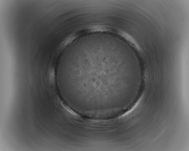 X0000114560825200910191429