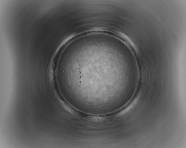 X0000114560827200910191429