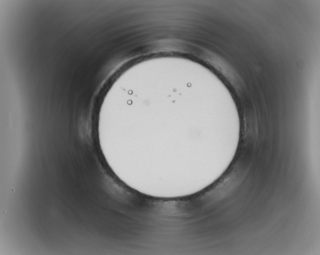 X0000114560828200910191430