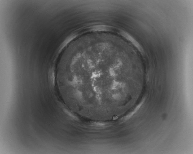 X0000114560829200910191430
