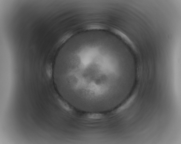 X0000114560833200910191430
