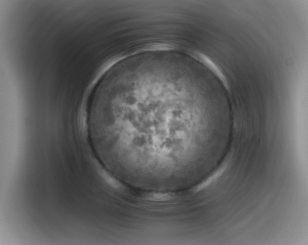 X0000114560835200910191430
