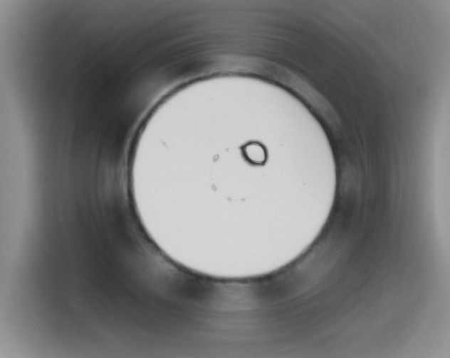 X0000114560836200910191430