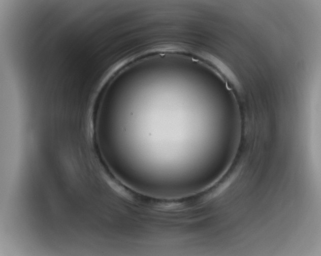 X0000114560837200910191430