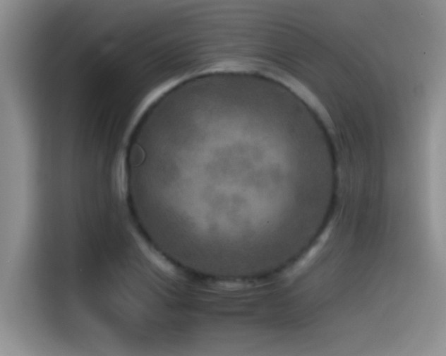 X0000114560838200910191430