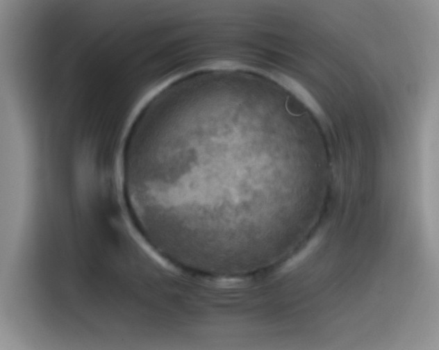 X0000114560839200910191430