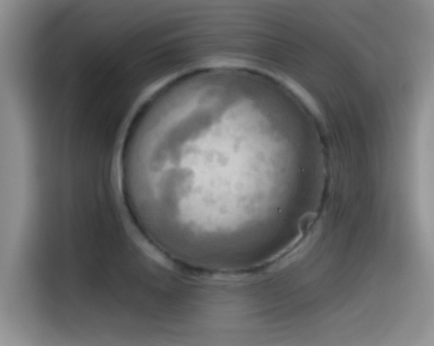 X0000114560840200910191430