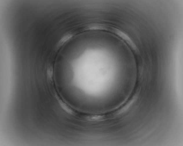 X0000114560841200910191430