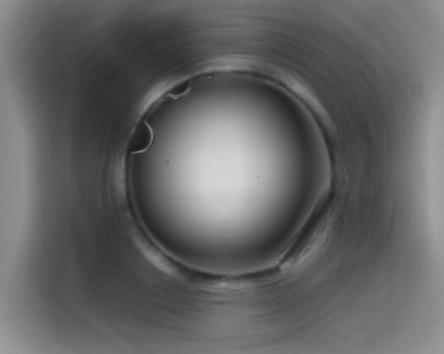 X0000114560842200910191430