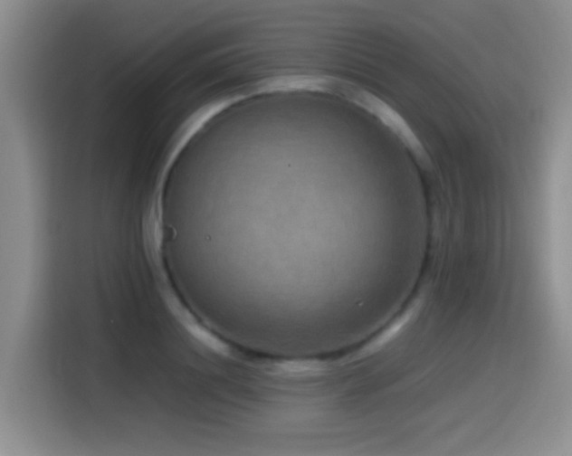 X0000114560844200910191430