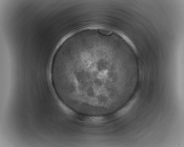 X0000114560845200910191430