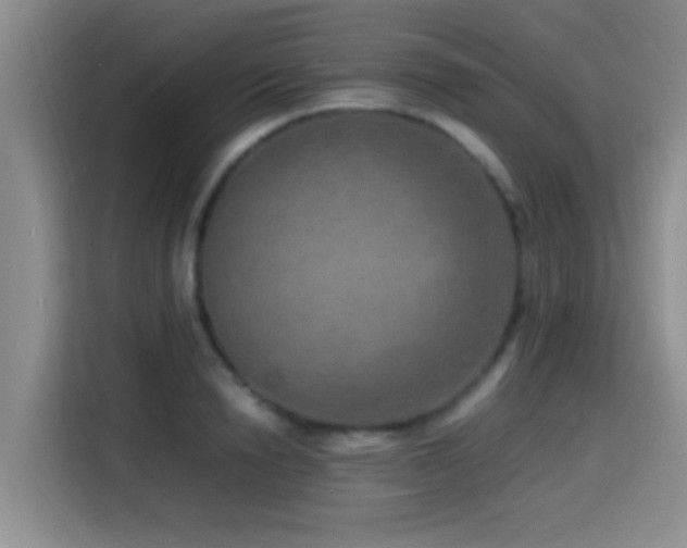 X0000114560846200910191430