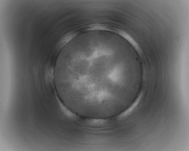 X0000114560849200910191430