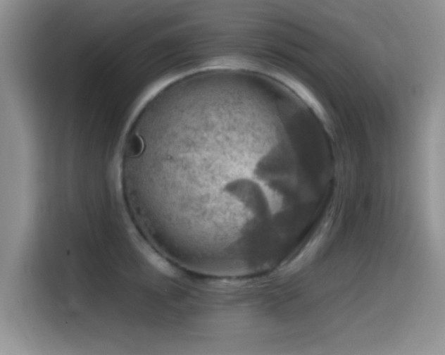 X0000114560854200910191430