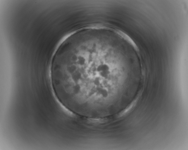 X0000114560855200910191430