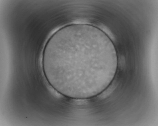 X0000114560856200910191430