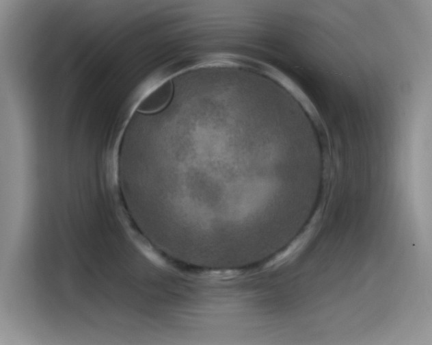 X0000114560858200910191430